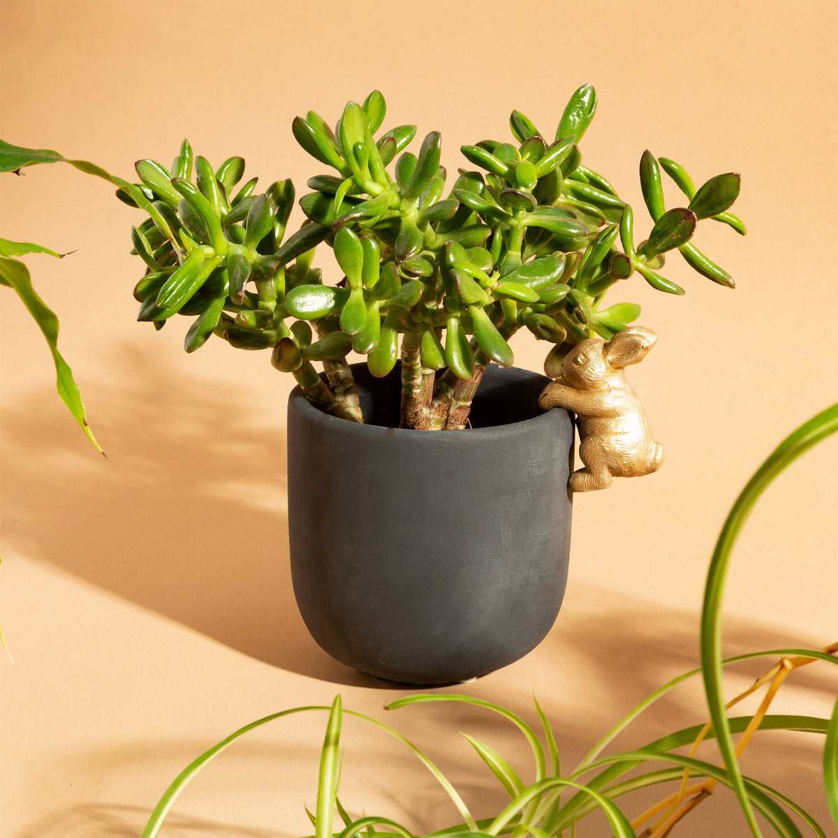 Rabbit Planter - Black & Gold, Small