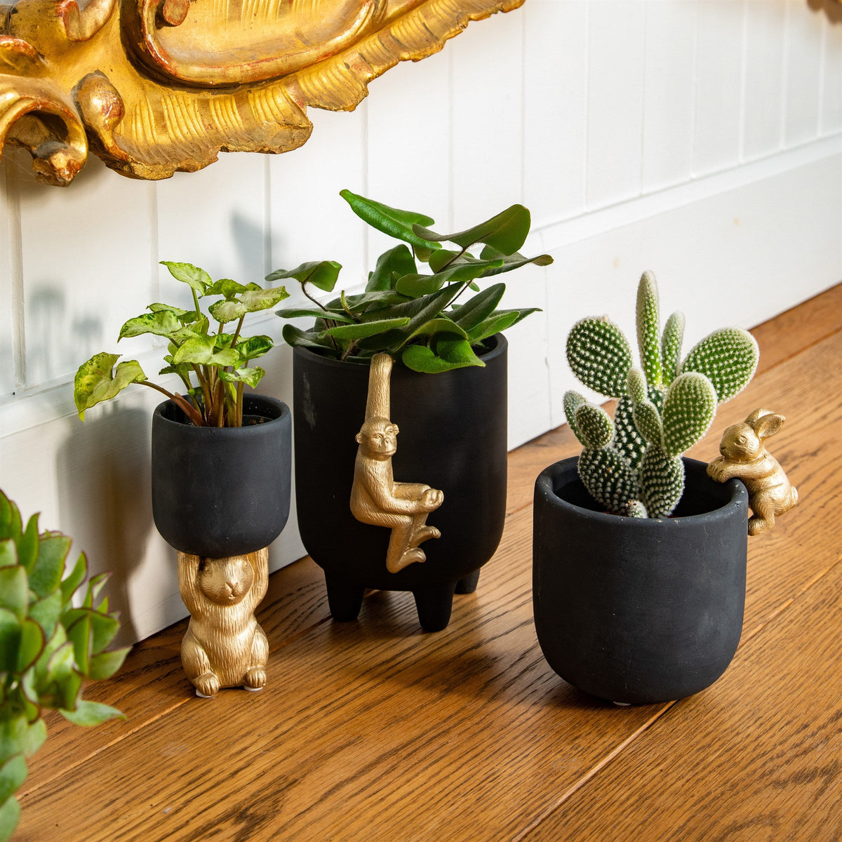 Rabbit Planter - Black & Gold, Small