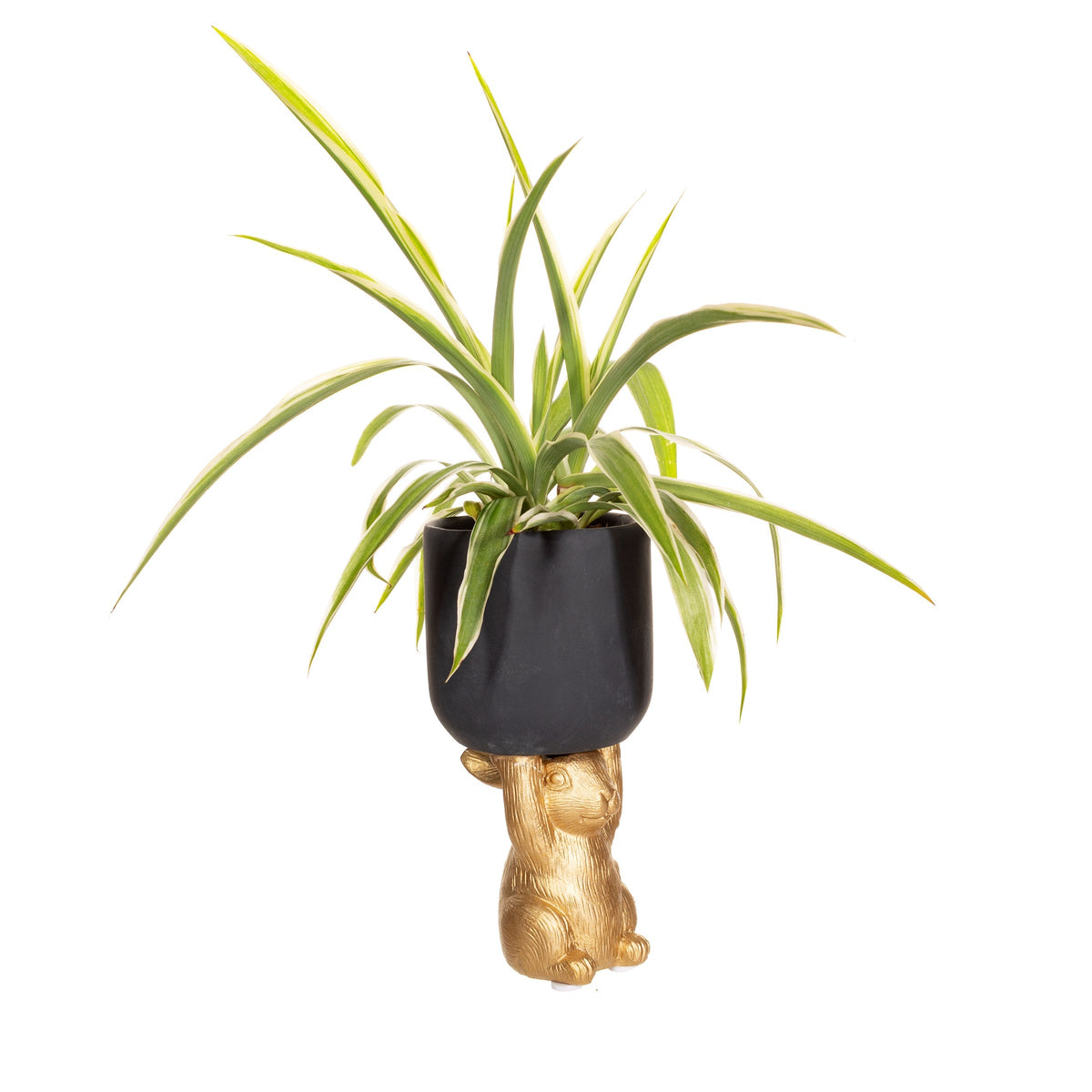 Golden Rabbit Pedestal Planter - Small