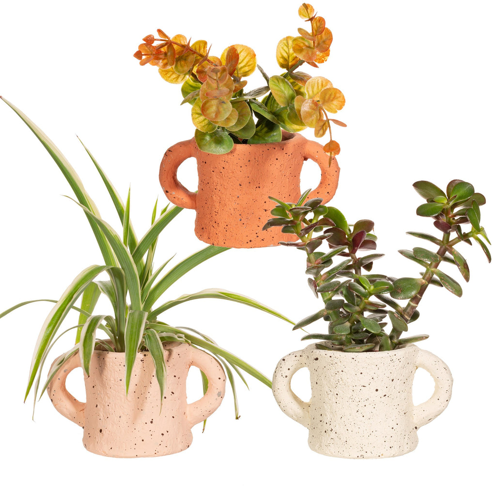 Mini Terracotta Handle Planter