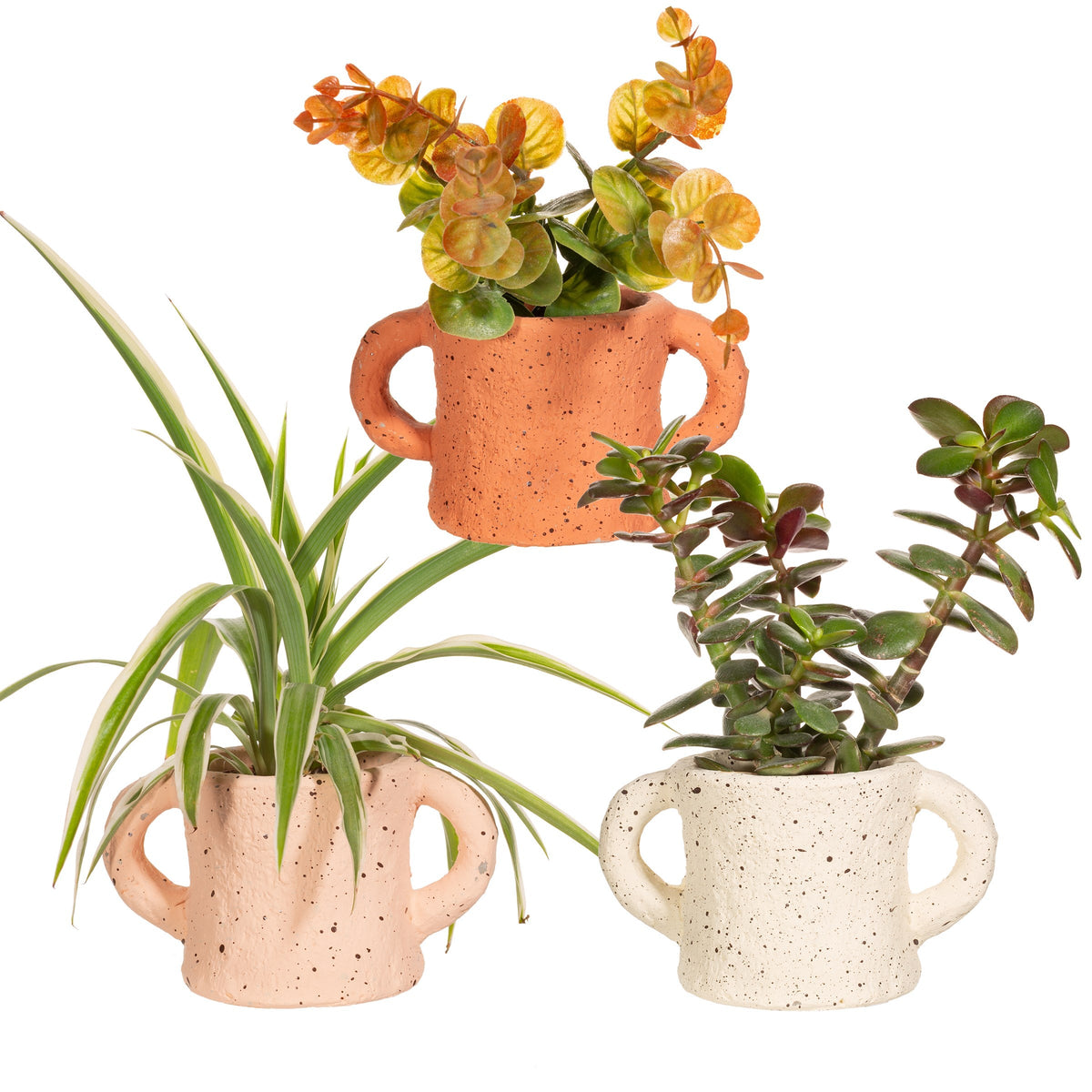 Mini Terracotta Handle Planter