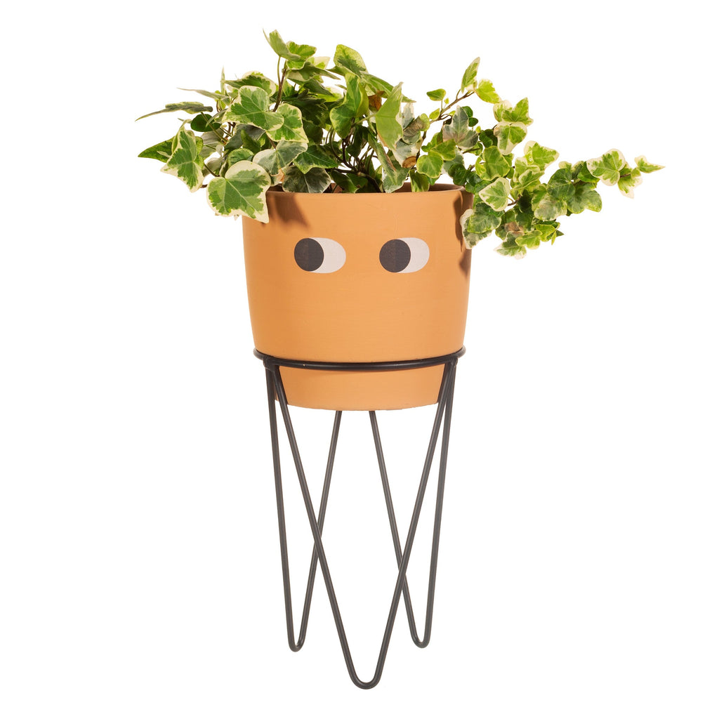 Tall Leggy Planter & Stand