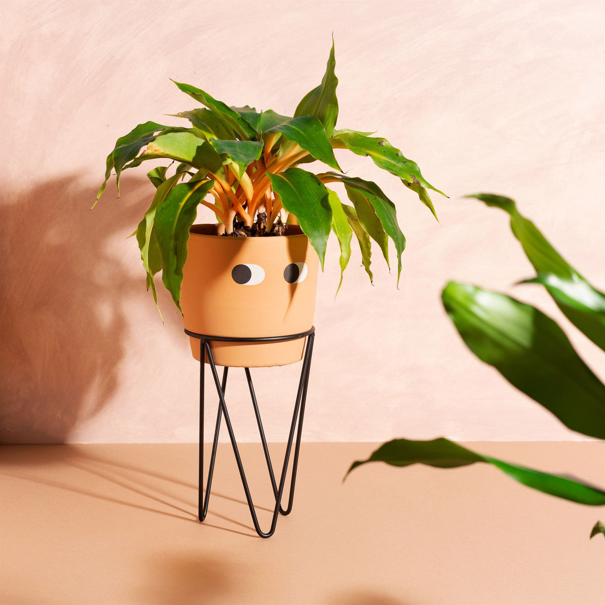 Tall Leggy Planter & Stand