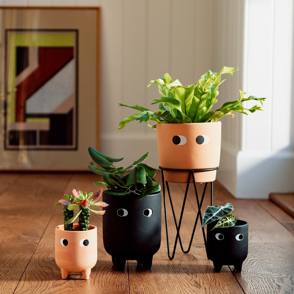 Tall Leggy Planter & Stand