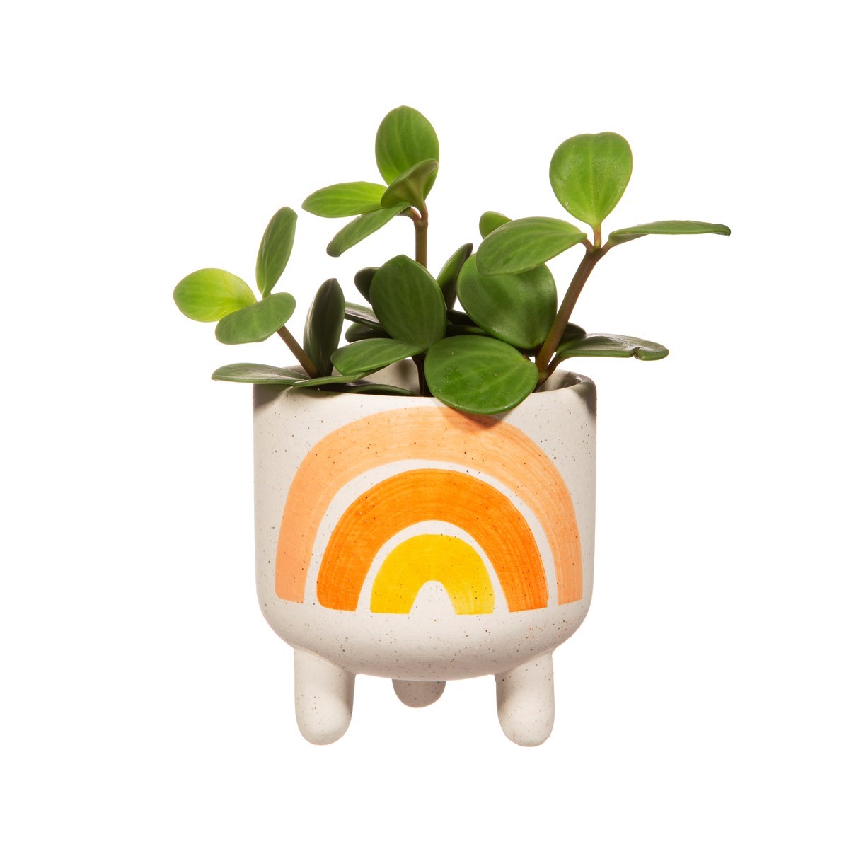 Rainbow Planter on Legs
