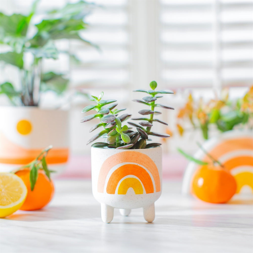 Rainbow Planter on Legs