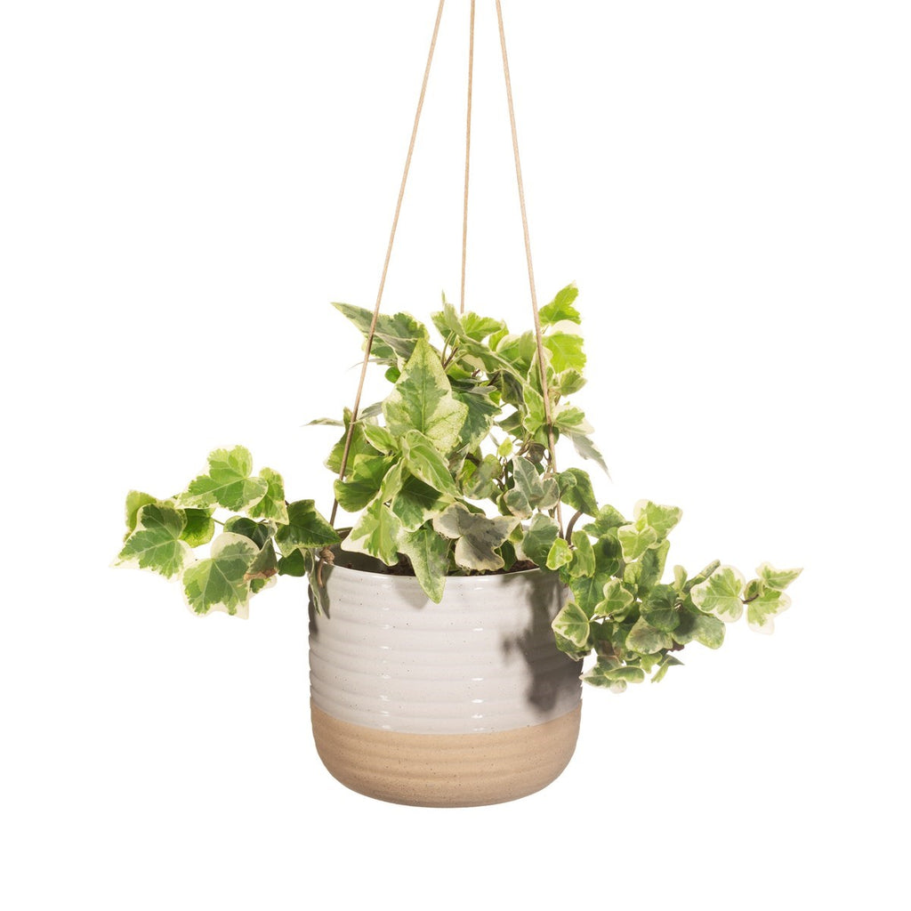 Rustic White Half Glazed Boho Hanging Planter