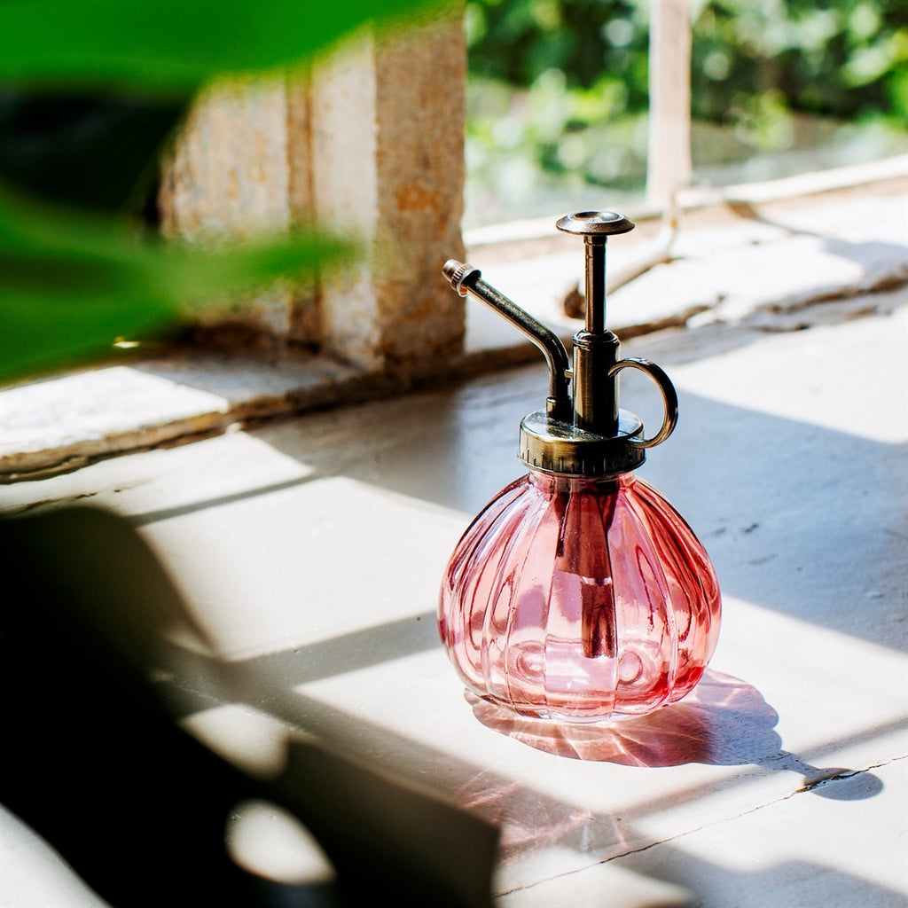 Glass Plant Mister - Pink