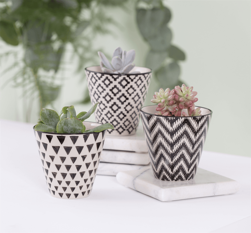 Mini Black Geo Planters