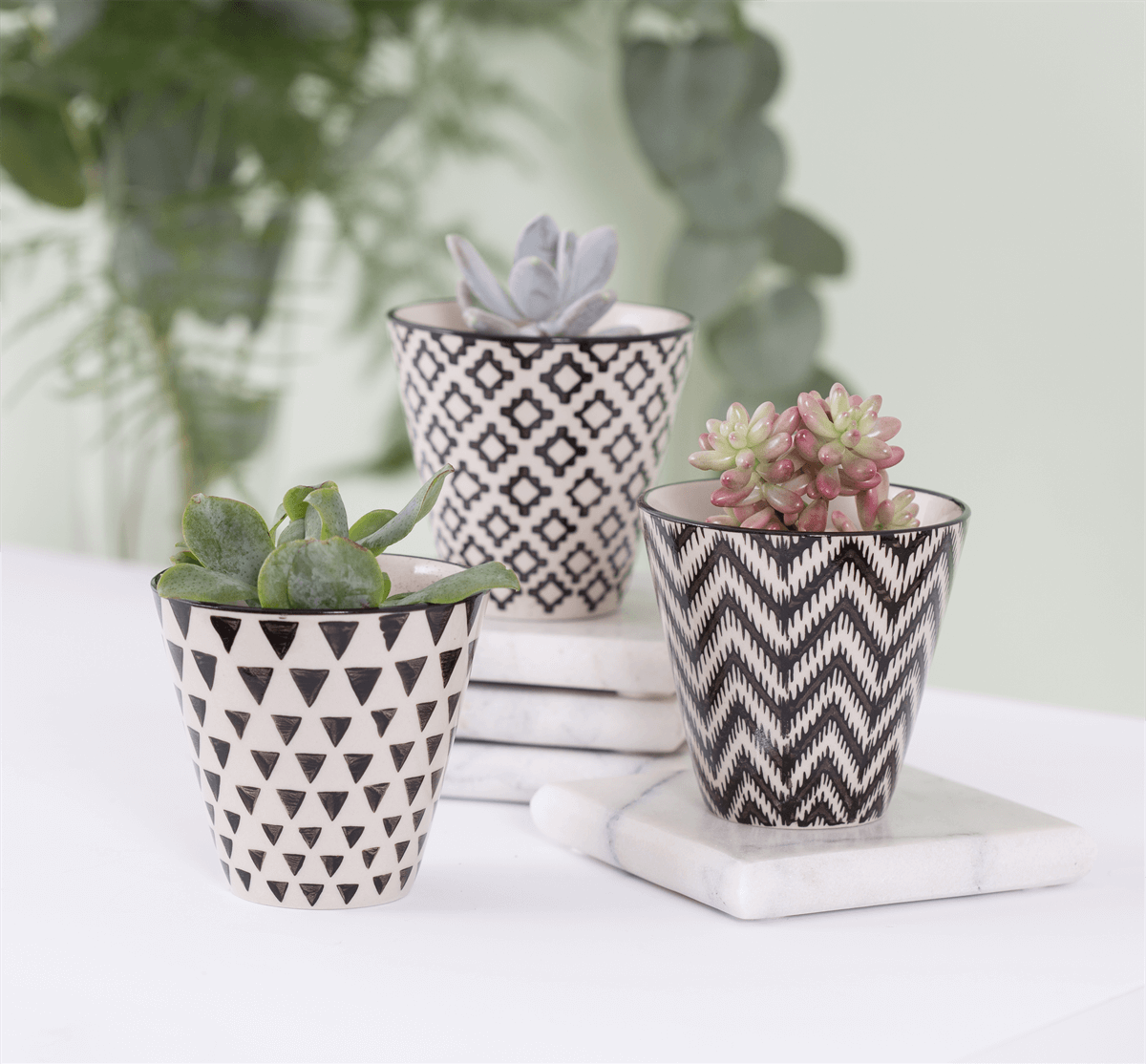 Mini Black Geo Planters
