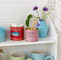 Mackerel & Anchovy Mini Storage Tins - Set of 2