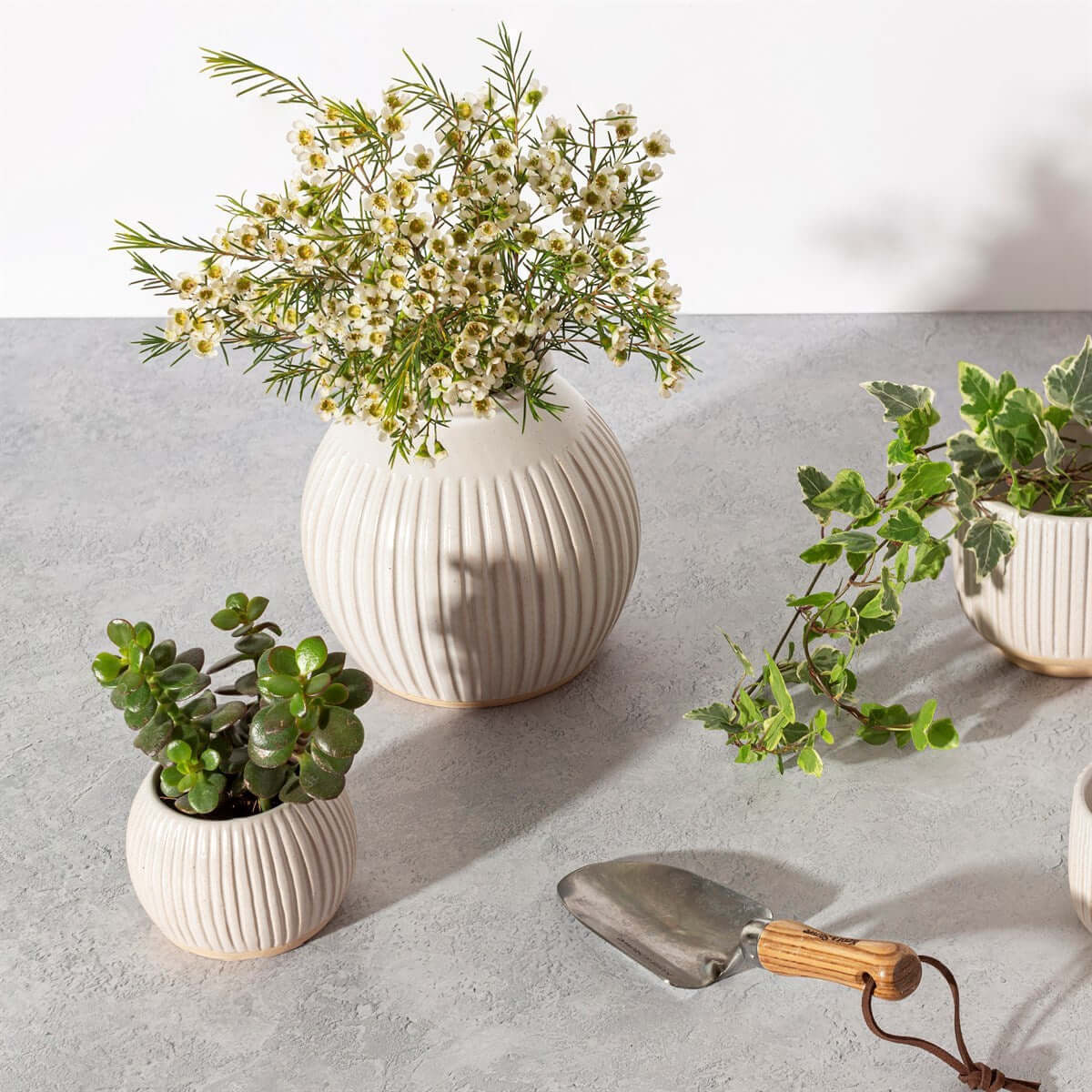 Grooved Vase Japandi Style