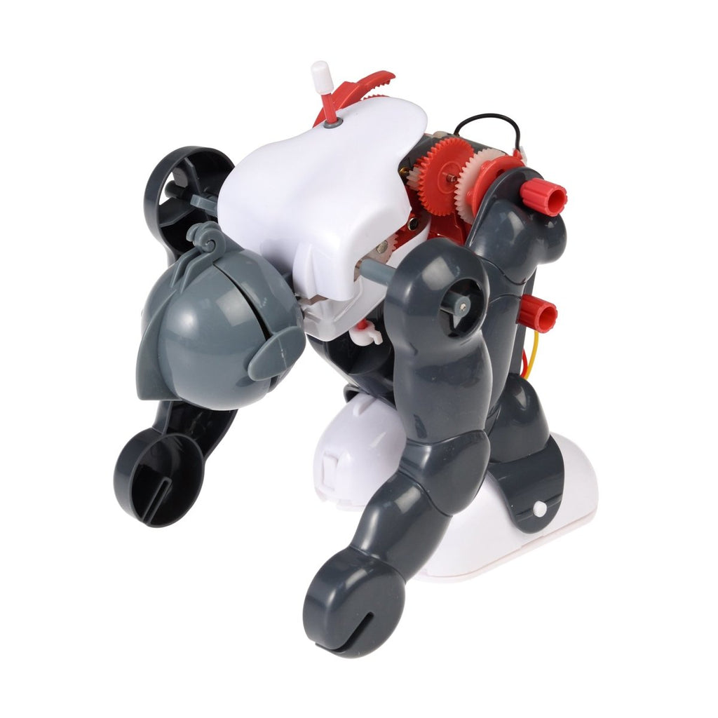 Build Your Own Tumbling Robot