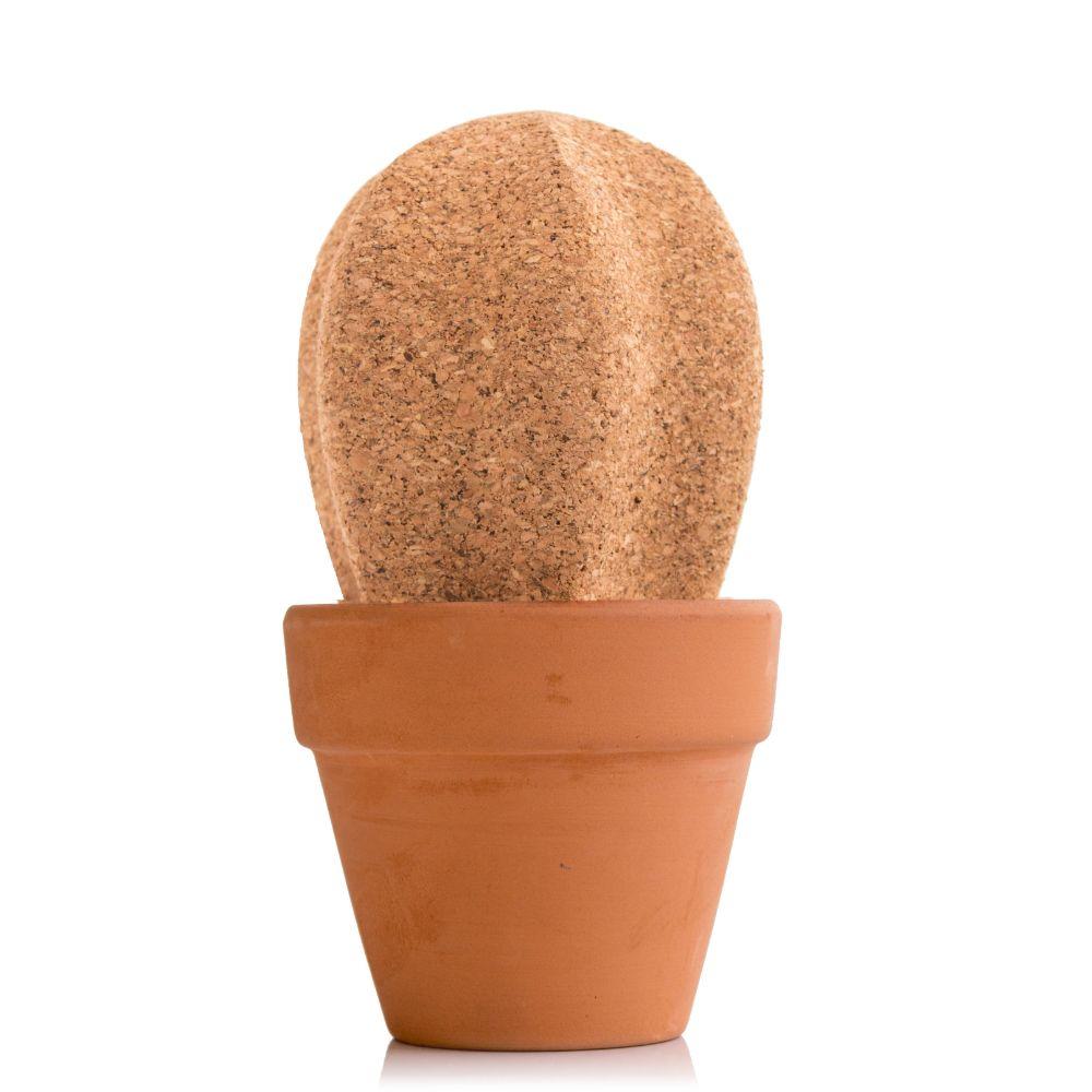 Cork Cactus Desk Organiser