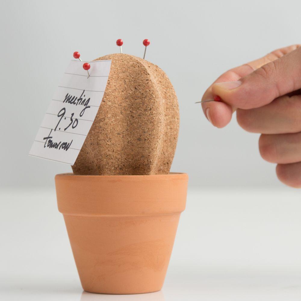 Cork Cactus Desk Organiser