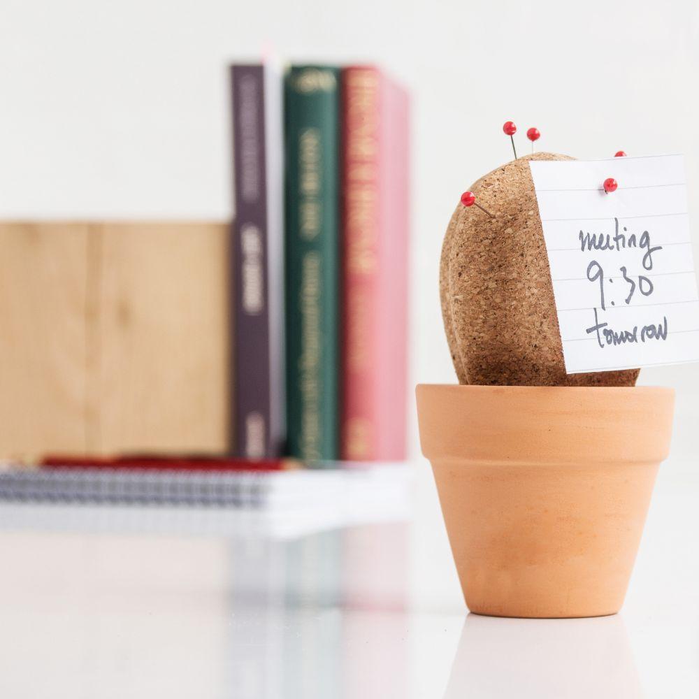 Cork Cactus Desk Organiser