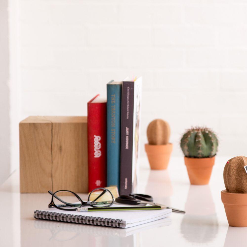 Cork Cactus Desk Organiser