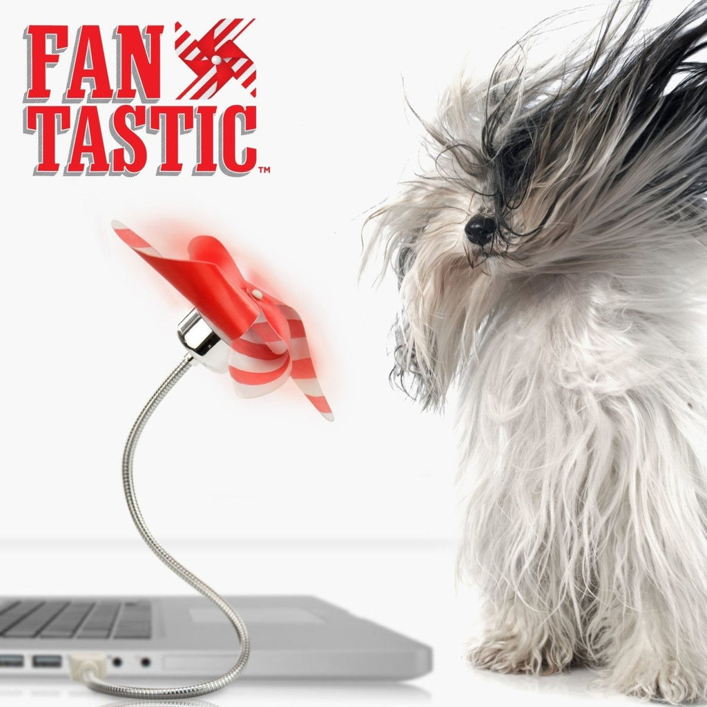 Fan-tastic USB Desk Fan