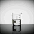 Borosilicate Glass Lab Beaker - 1L
