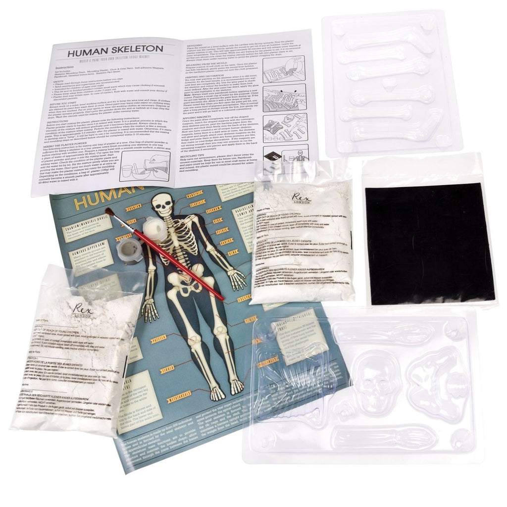 Make Your Own Glow-in-the-Dark Skeleton