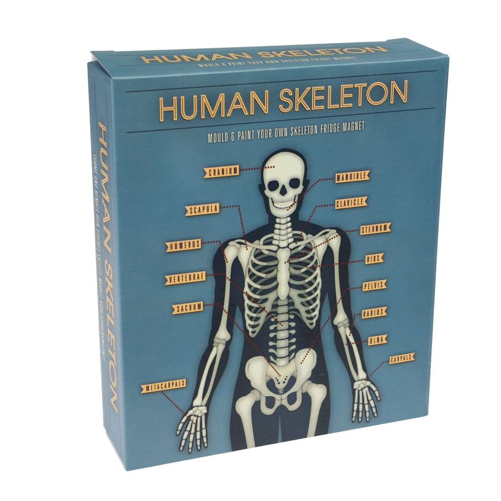 Make Your Own Glow-in-the-Dark Skeleton
