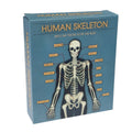 Make Your Own Glow-in-the-Dark Skeleton