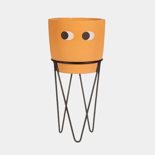 Tall Leggy Planter & Stand