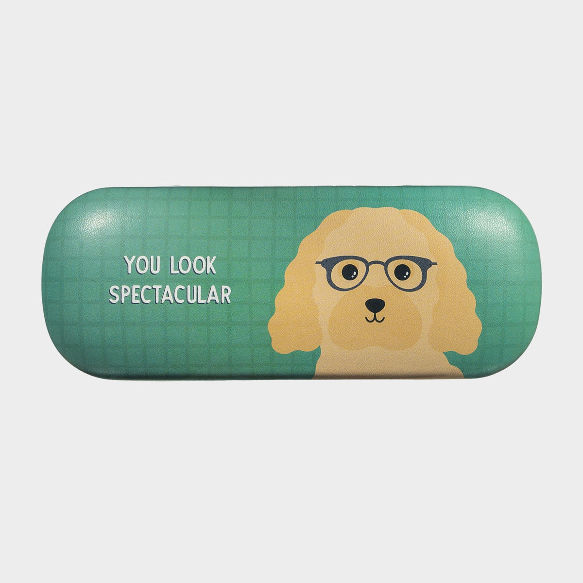 Cockapoo Glasses Case - Turquoise